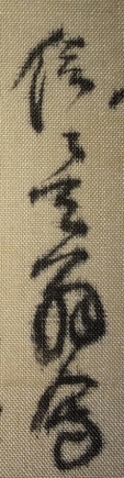 信天翁 寫