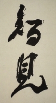 智見