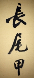 長尾甲