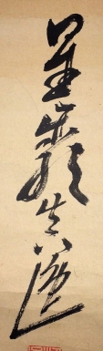 星巌生逸